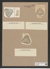 Triceratium madagascarense Grun. (de-Toni-Nr.: Genus 140, Species 3848) Zeichnungen Sammlung Grunow Nr. 7347 (NHMW-BOT-W0376396)